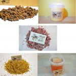 Bee Bread / Propolis / Pollen / Honey / Honeycomnb / Natures pack