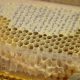 Natural-Pure-Raw-Honeycomb-Squares-100-Organic-Just-Fresh-From-Bee-Hives-262020890933